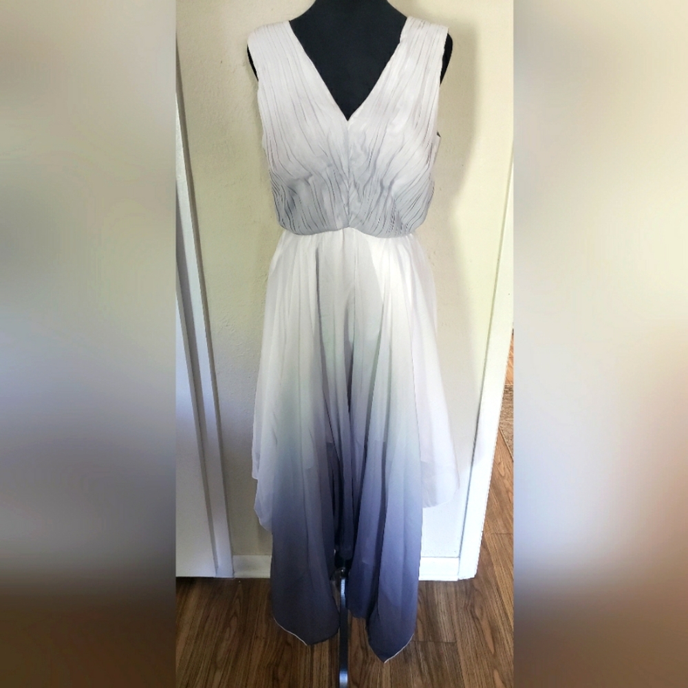 Catherine Malandrino elegant Ombre Sleeveless Dress